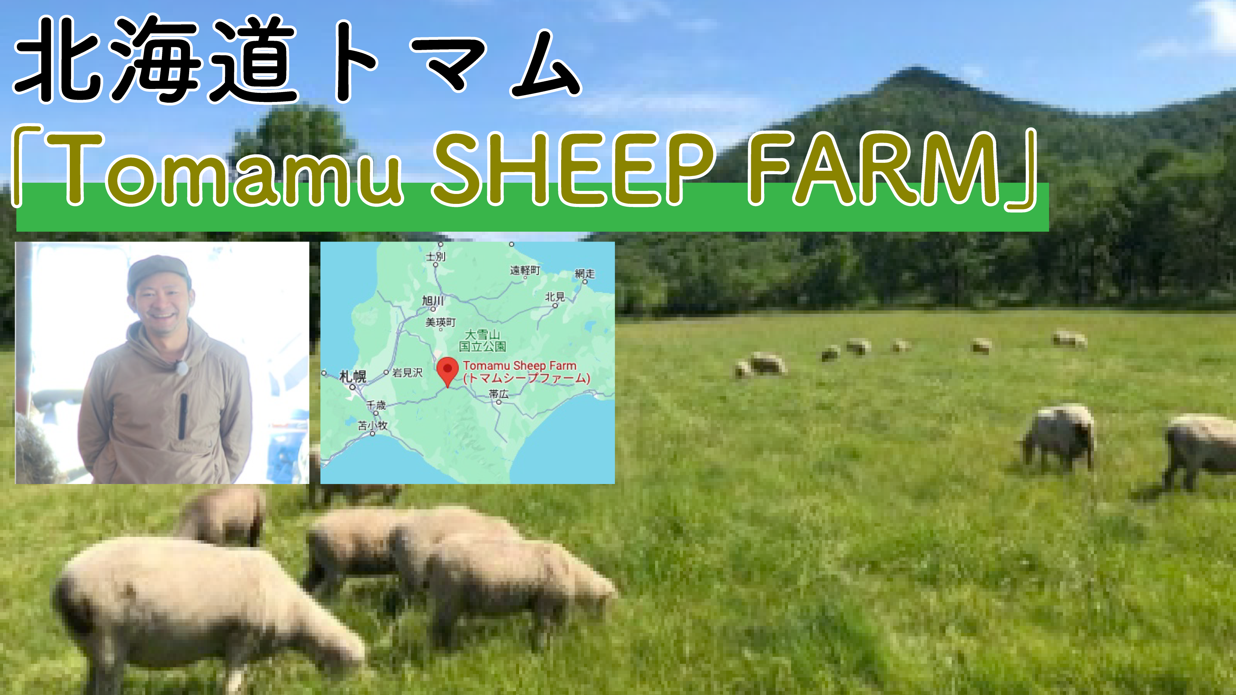 Tomamu SHEEP FARM