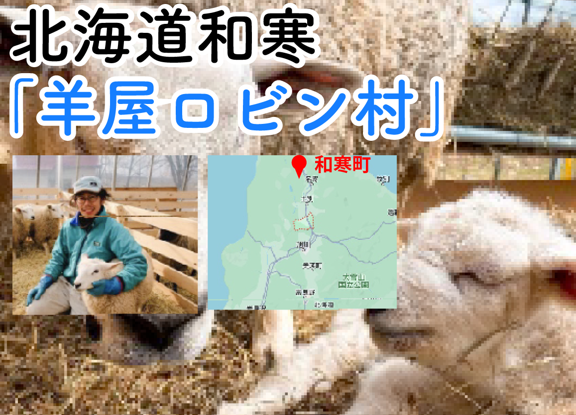 羊屋ロビン村の紹介カード