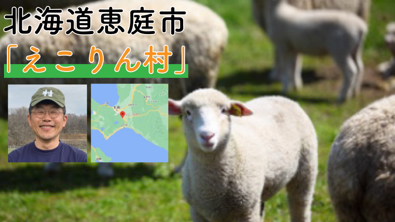 【取り扱い羊のご紹介】-北海道恵庭市₋-【えこりん村】
