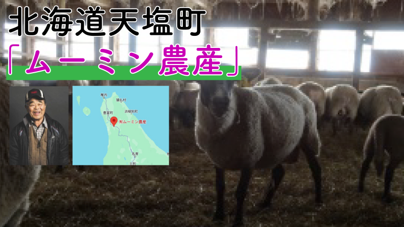 【取り扱い羊のご紹介】₋北海道天塩町₋ 【ムーミン農産】