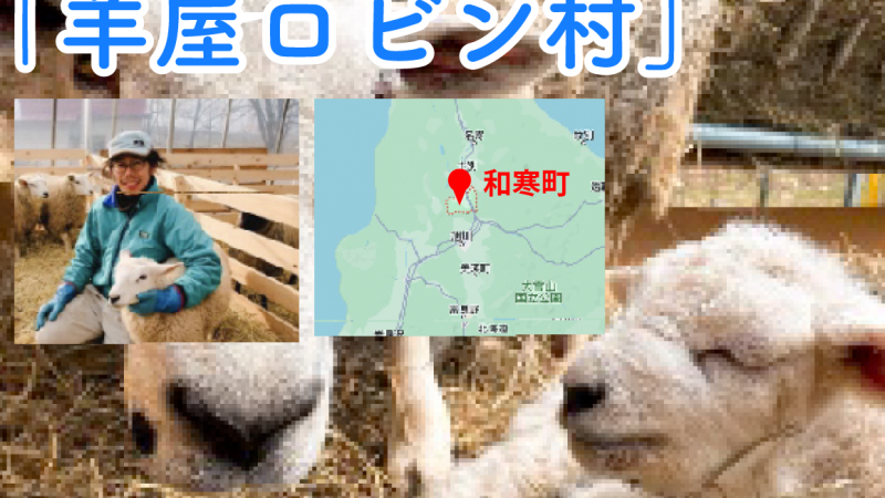 【取り扱い羊のご紹介】₋北海道和寒₋ 【羊屋ロビン村】